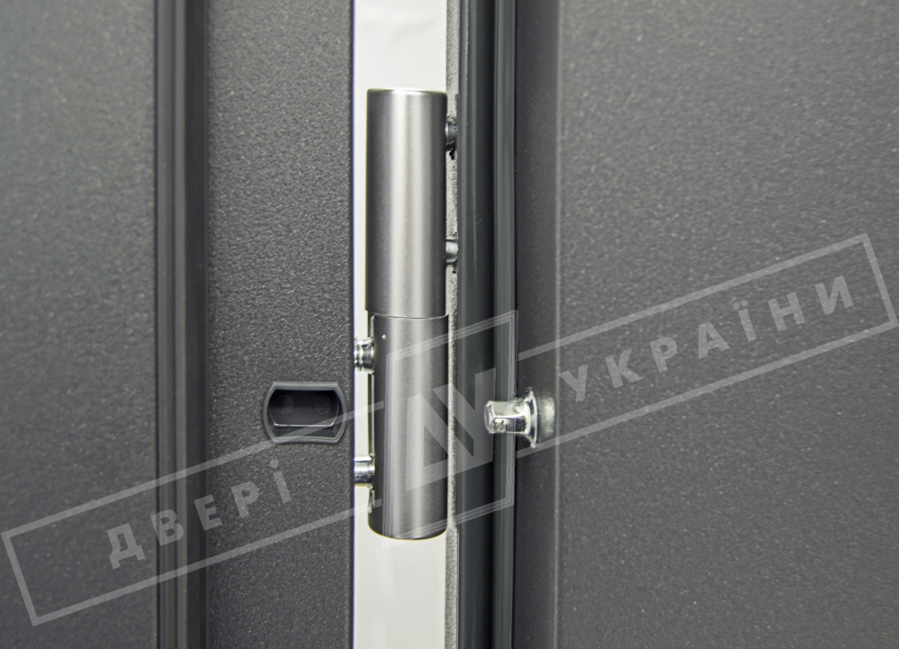 Двері вхідні для приватних будинків серії "GRAND HOUSE 73 mm" / модель: ФЛЕШ / колір: Графіт металік / Захисна ручка на планці